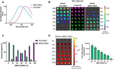 Near-Infrared Bioluminescence Imaging of Macrophage Sensors for Cancer Detection In Vivo